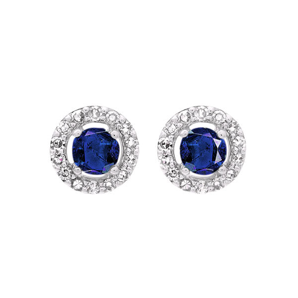 10Kt White Gold Diamond 1/10Ctw & Sapphire 1/3Ctw Earring