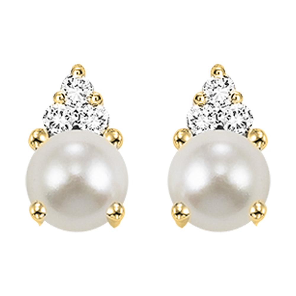 10Kt Yellow Gold Diamond 1/20Ctw Earring