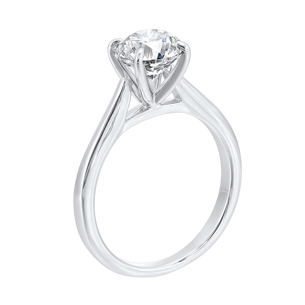 14Kt White Gold Diamond 1/4Ctw Ring