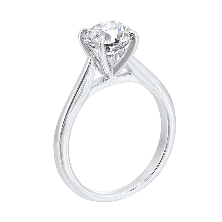 14Kt White Gold Diamond 1/4Ctw Ring